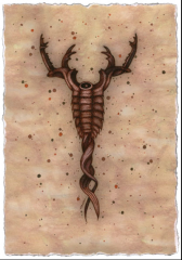 Nueva imagen (10).png, 225 KB