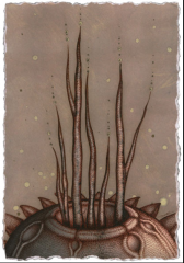 Nueva imagen (11).png, 220 KB