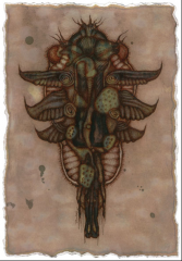 Nueva imagen (4).png, 224 KB