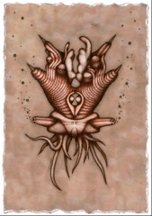 Nueva imagen (6).png, 245 KB