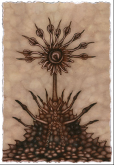 Nueva imagen (8).png, 232 KB