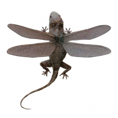 Nueva imagen.png, 87 KB